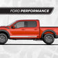 FordF150 Raptor Decal side stripe